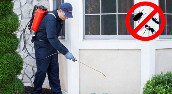 Darende Gümüşkurt İlaçlama böcek ilaçlama ve haşere kontrolü — ilaclama-tr.com